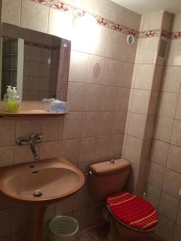 Фото номера Апартаменты Гостевой дом Pension Casa Alba г. Слэник-Молдова 7